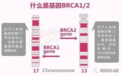 1524202624414202.jpg 微信图片_20180420114555.jpg