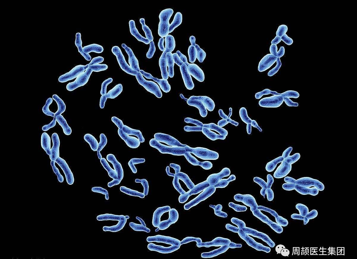 1524202634554788.jpg 微信图片_20180420114556.jpg