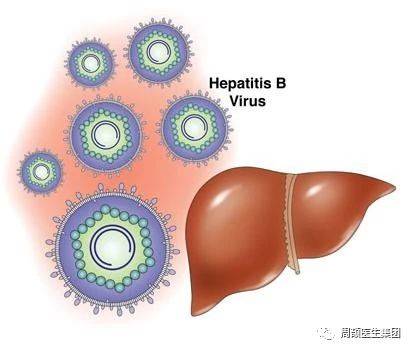 1524202655713815.jpg 微信图片_20180420114559.jpg