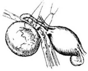 1524210387677875.jpg 微信图片_20180420154552.jpg