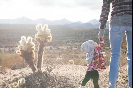 1524475268341729.jpg 微信图片_20180423172028.jpg