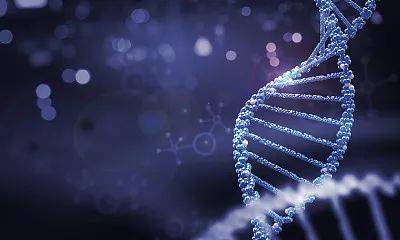 1529993902412512.jpg 微信图片_20180626141754.jpg