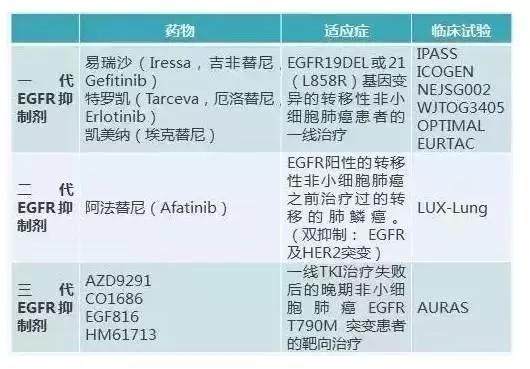 EGFR突变靶向药.JPEG