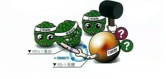 1531884882437663.jpg ttt.jpg