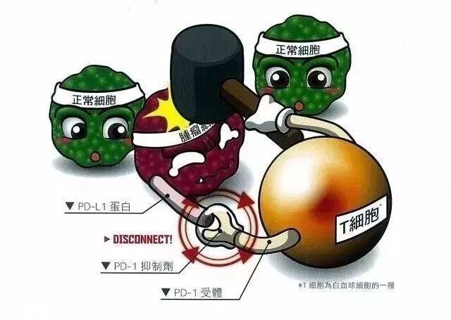 1531884967375675.jpg ts.jpg