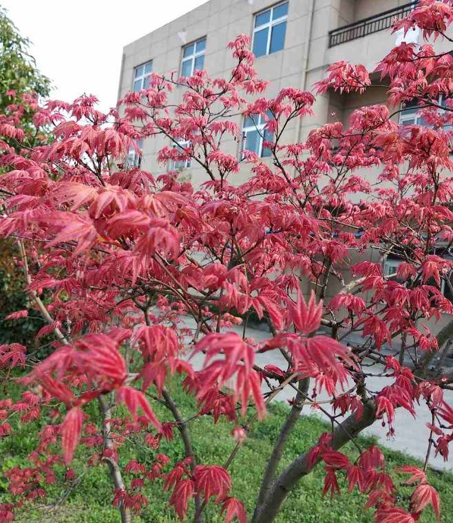 1532325251684289.jpg 微信图片_20180723135225.jpg