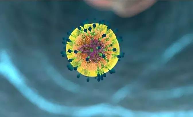 1533892239227637.jpg 社区.webp.jpg