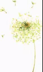 1534129703910167.jpg 微信图片_20180813110754.jpg