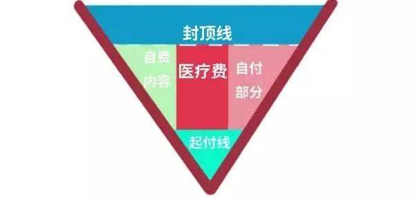 1534129738970232.jpg 微信图片_20180813110806.jpg