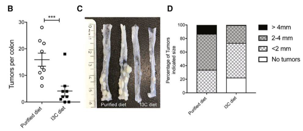 1535107372251515.jpg 微信图片_20180824184224.jpg