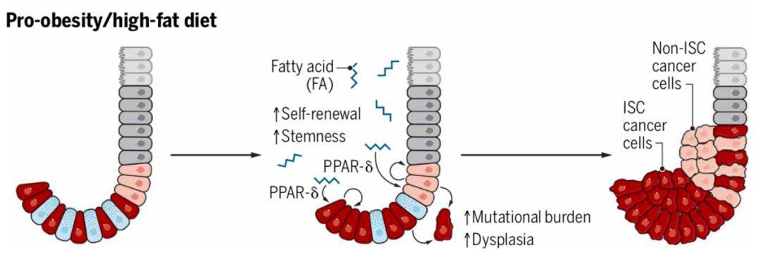 1535107456999893.jpg 微信图片_20180824184221.jpg