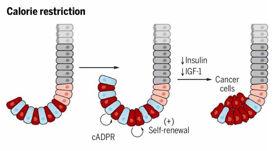 1535107494880901.jpg 微信图片_20180824184219.jpg