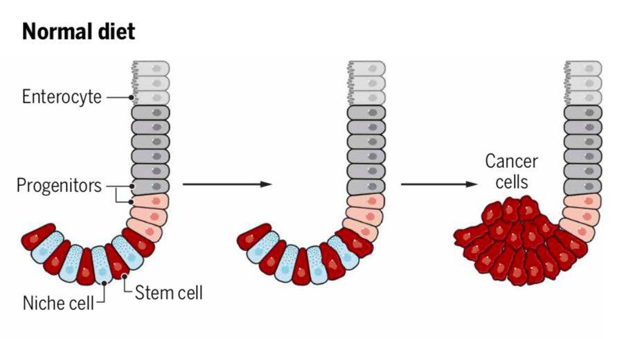 1535107503560699.jpg 微信图片_20180824184217.jpg