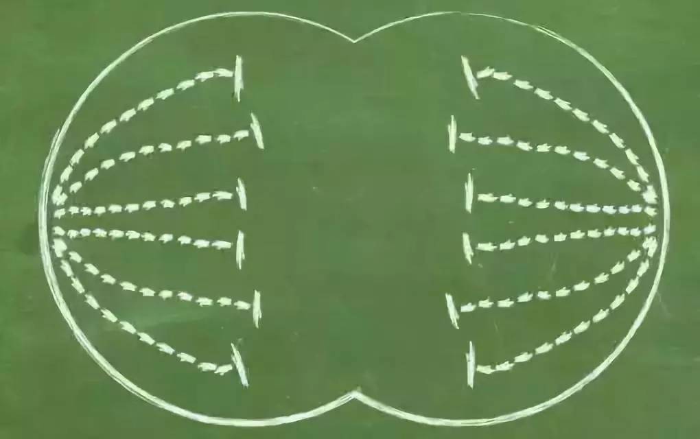 1535415576144267.jpg 29.webp.jpg