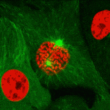 1535415591933093.gif 30.gif