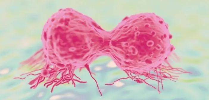 1535415618546816.jpg 31.webp.jpg