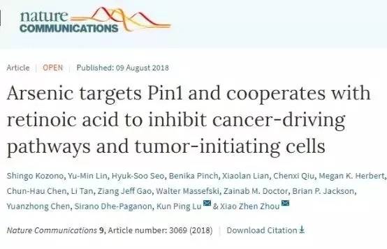 1535415994831337.jpg 555.webp.jpg