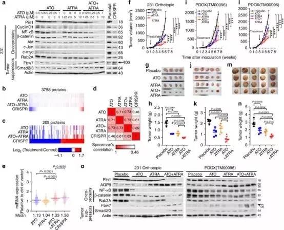 1535416129679699.jpg 999.webp.jpg