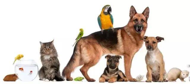 1536119510459347.jpg 1.jpg