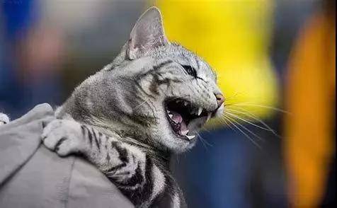 1536119521557386.jpg 2.jpg