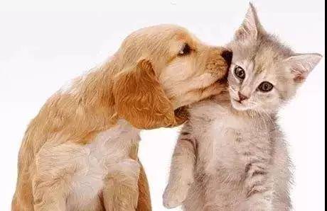 1536119537894590.jpg 3.jpg