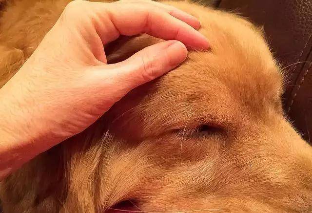 1536119547188325.jpg 4.JPG