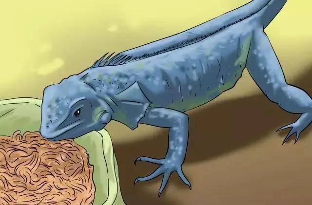 1536119558716600.jpg 5.jpg