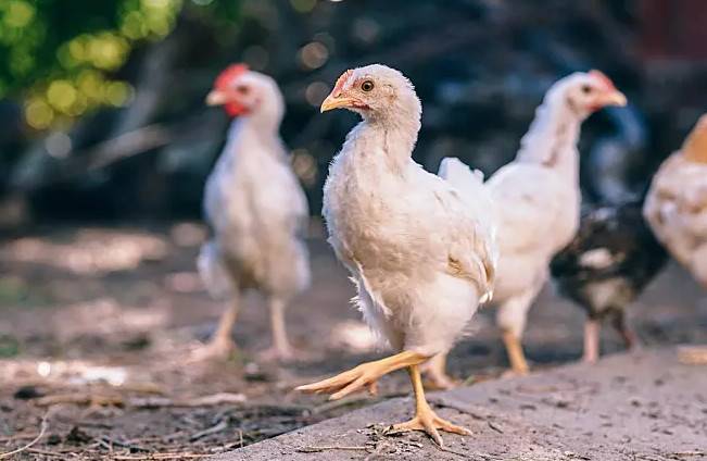 1536646406720187.jpg 微信图片_20180911141238.jpg