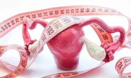 1537176874645018.jpg 微信图片_20180917173412.jpg