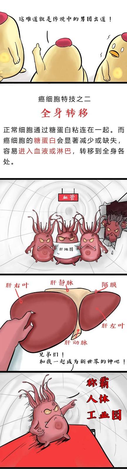 1537251285994333.jpg 微信图片_20180918141436.jpg