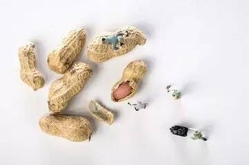 1537521197525899.jpg 微信图片_20180921171215.jpg