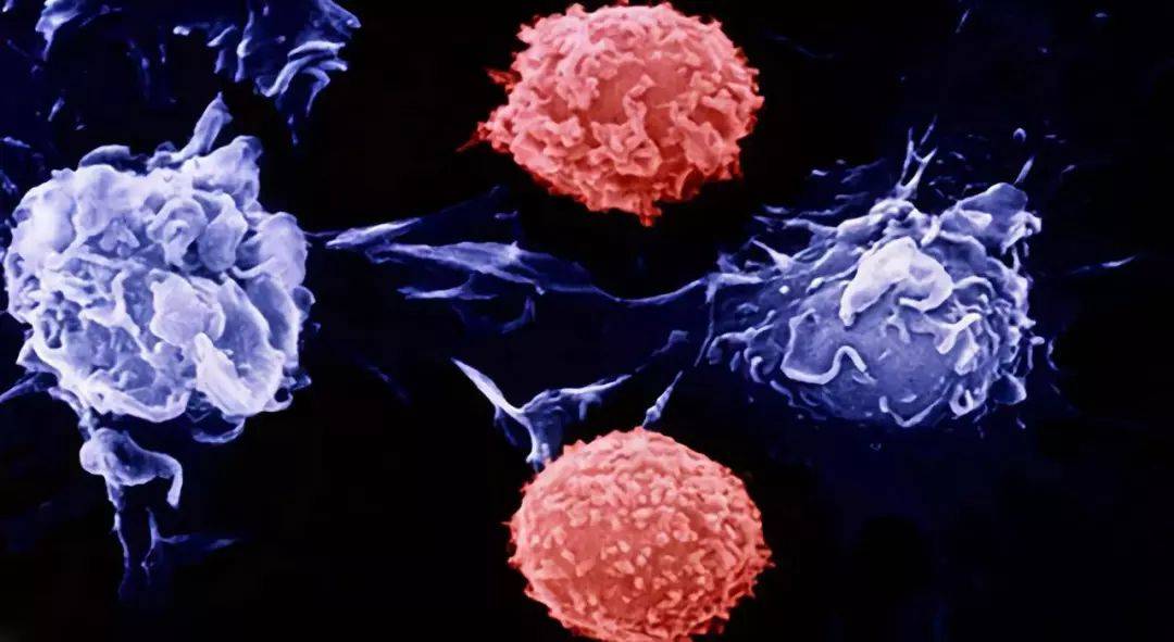 1537942783861519.jpg 微信图片_20180926141842.jpg