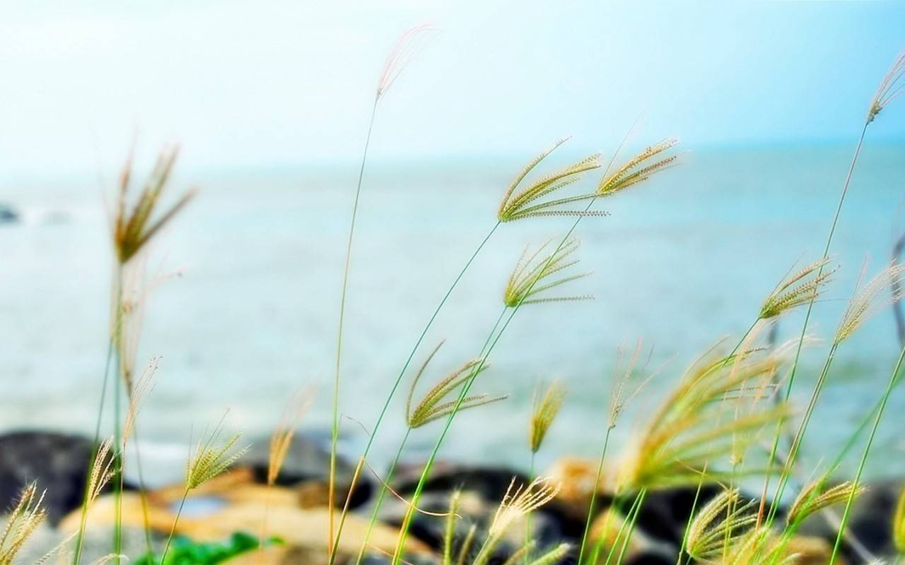 1538032944124828.jpg 微信图片_20180927151658.jpg