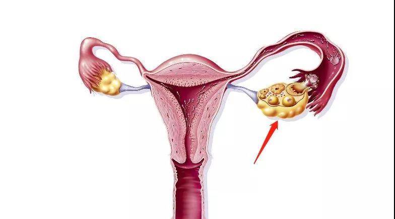 1538299270610018.jpg 微信图片_20180930170542.jpg