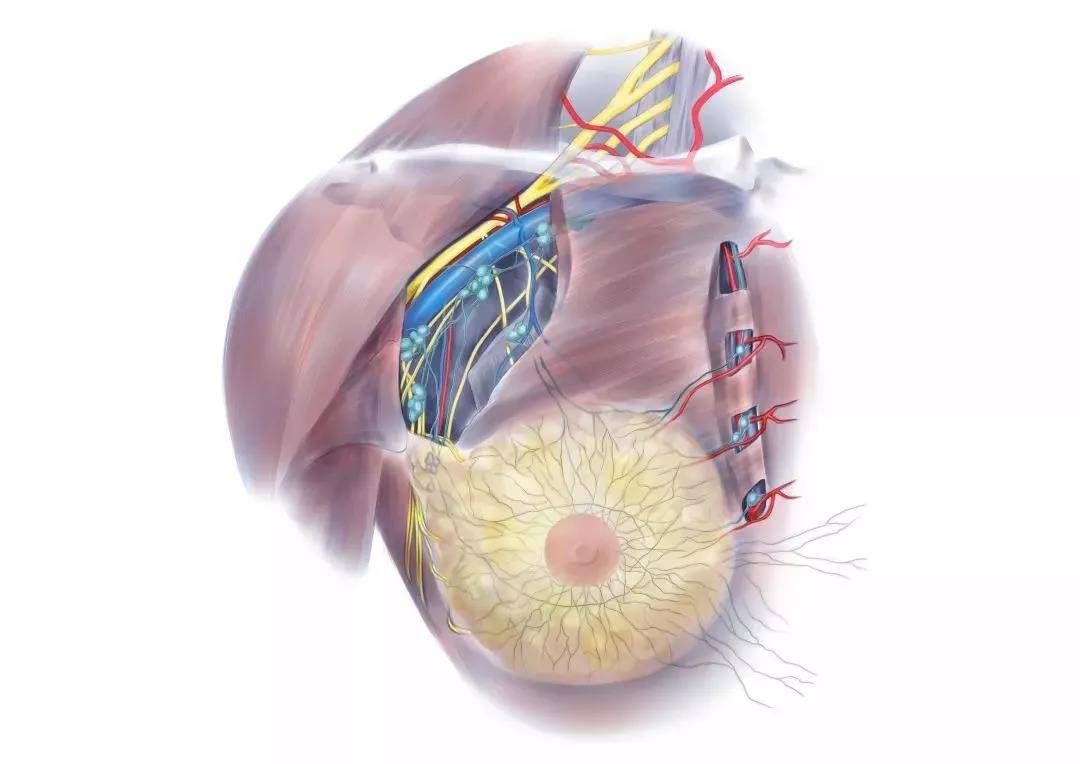 1538299456640677.jpg 微信图片_20180930171841.jpg