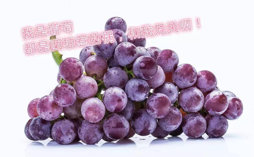 1539135829598323.jpg 微信图片_20181010094044.jpg