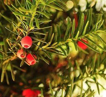 1540976767565691.jpg 微信图片_20181031170452.jpg