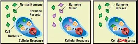 1541066885839957.jpg 微信图片_20181101180433.jpg
