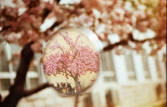 1541405532453631.jpg 微信图片_20181105161140.jpg