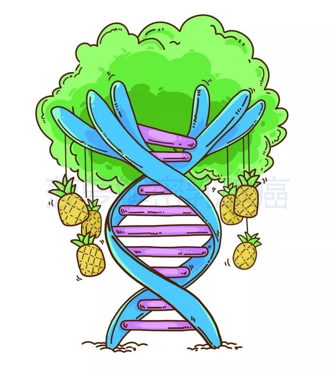 1541664530910621.jpg 微信图片_20181108160701.jpg