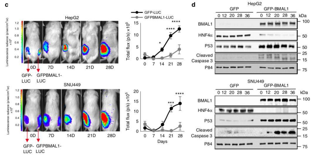 1542361124931062.jpg 微信图片_20181116173813.jpg