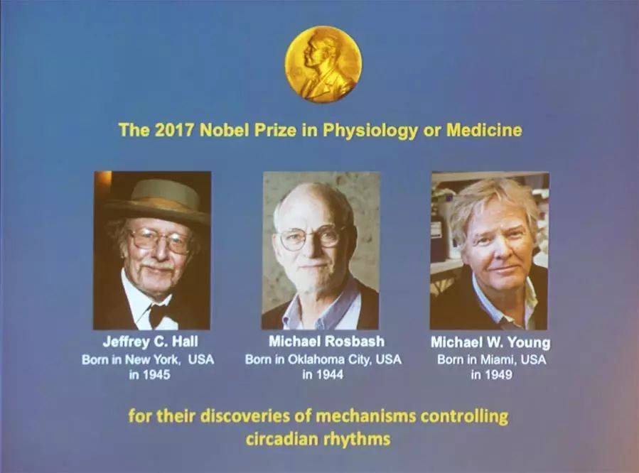 1542361210258870.jpg 微信图片_20181116173810.jpg