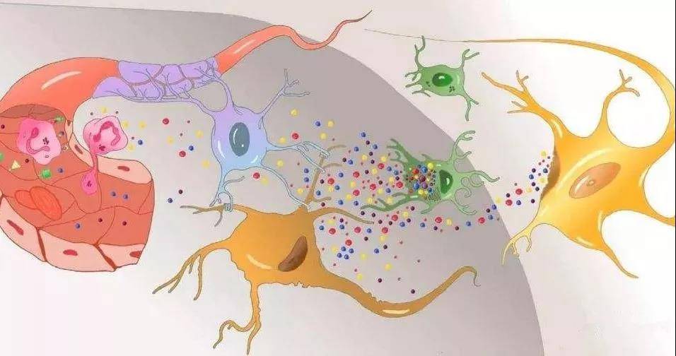 1542677386872071.jpg 微信图片_20181120092902.jpg