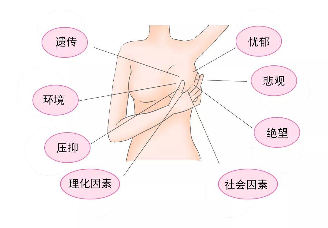 1542697644871901.jpg 微信图片_20181120150607.jpg