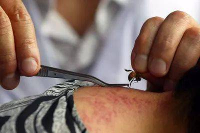 1543283203750826.jpg 微信图片_20181127094552.jpg