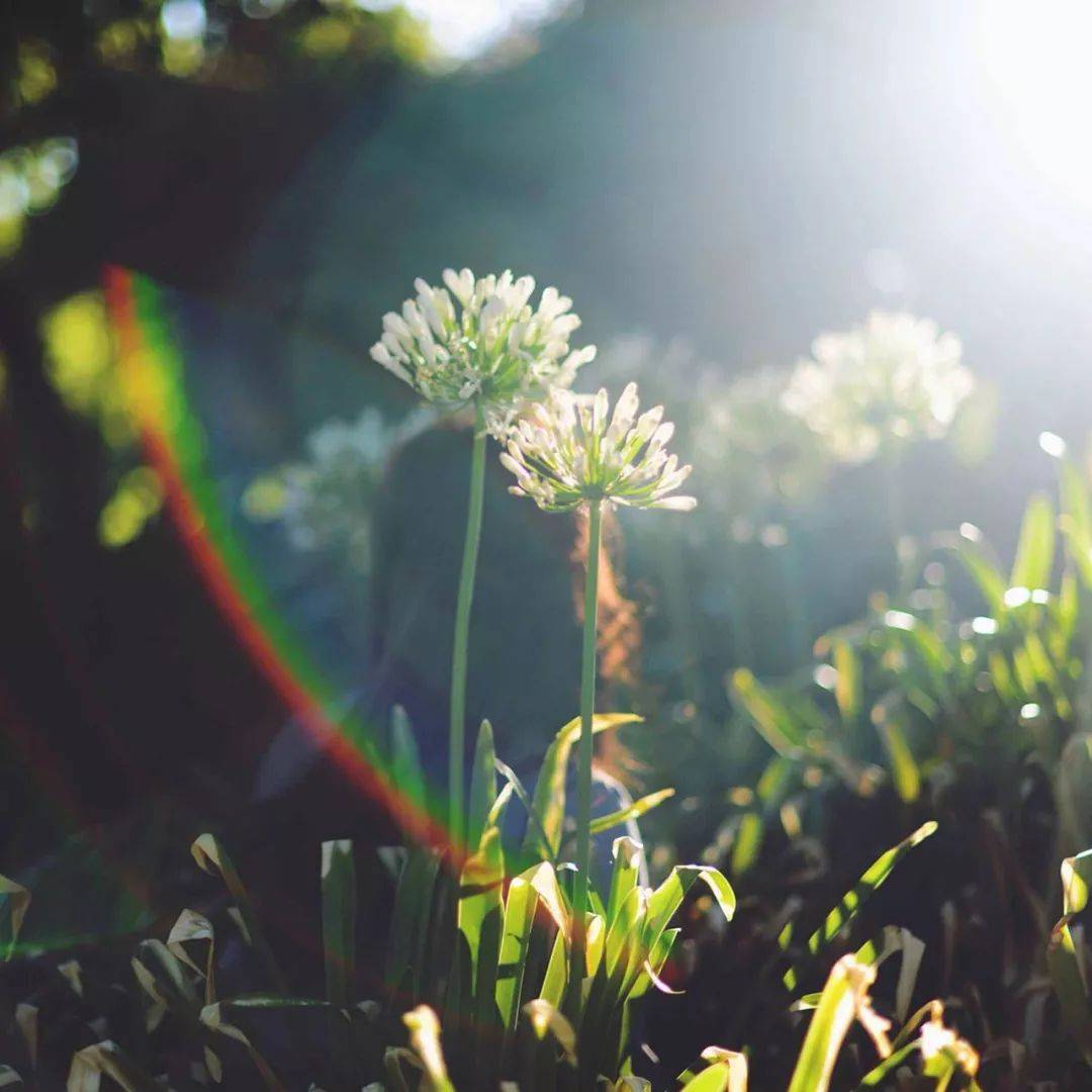 1543299902499546.jpg 微信图片_20181127142433.jpg