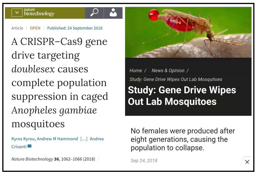 1543301428634716.jpg 微信图片_20181127144937.jpg