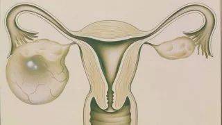 1543822068204048.jpg 微信图片_20181203152710.jpg