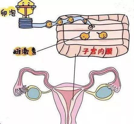 1543822079630209.jpg 微信图片_20181203152711.jpg