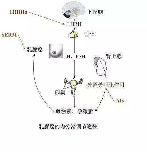 1543822098451606.jpg 微信图片_20181203152714.jpg